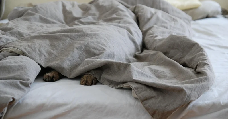 Quelle taille de couette pour un lit 140 ? La réponse directe