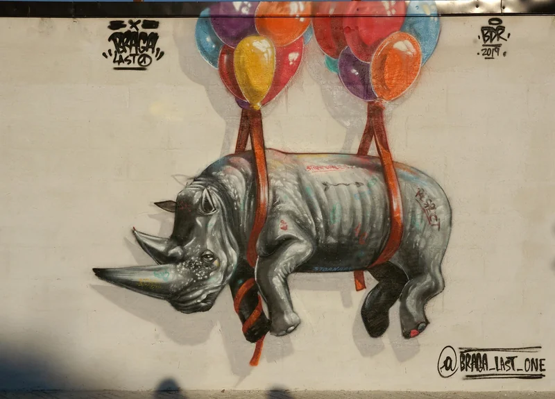 Couleurs murales et luminosité : les bons choix