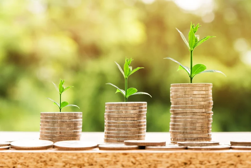 Financement, entretien et astuces pour économiser
