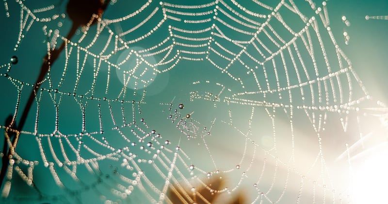 Toile personnalisé famille : l'idée déco qui rassemble et touche le cœur